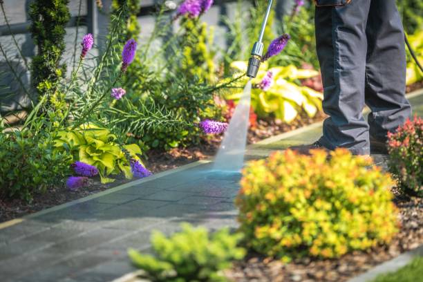 Best Restaurant Pressure Washing  in Gloverville, SC